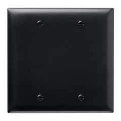 Pass & Seymour TP23BK Wallplate, Blank, 2-Gang, Box Mount, Nylon - Black