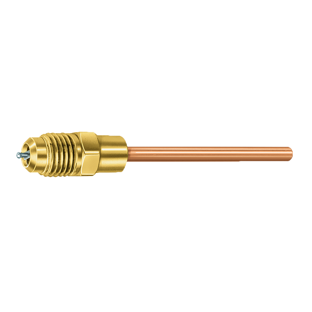 A31002-JB-Access-Valves.png