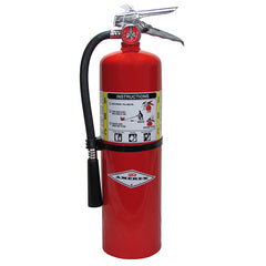 Amerex 441 10 lb ABC Fire Extinguisher with Brass Valve and Wall Hook