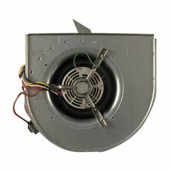 TRANE BLW00628 