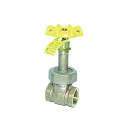 Apollo Valves 3020801 Apollo 107T - 2 NPT Gate Valve