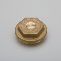 Barnes & Jones 4270C Brass Cover for Cage Units on Trane Traps