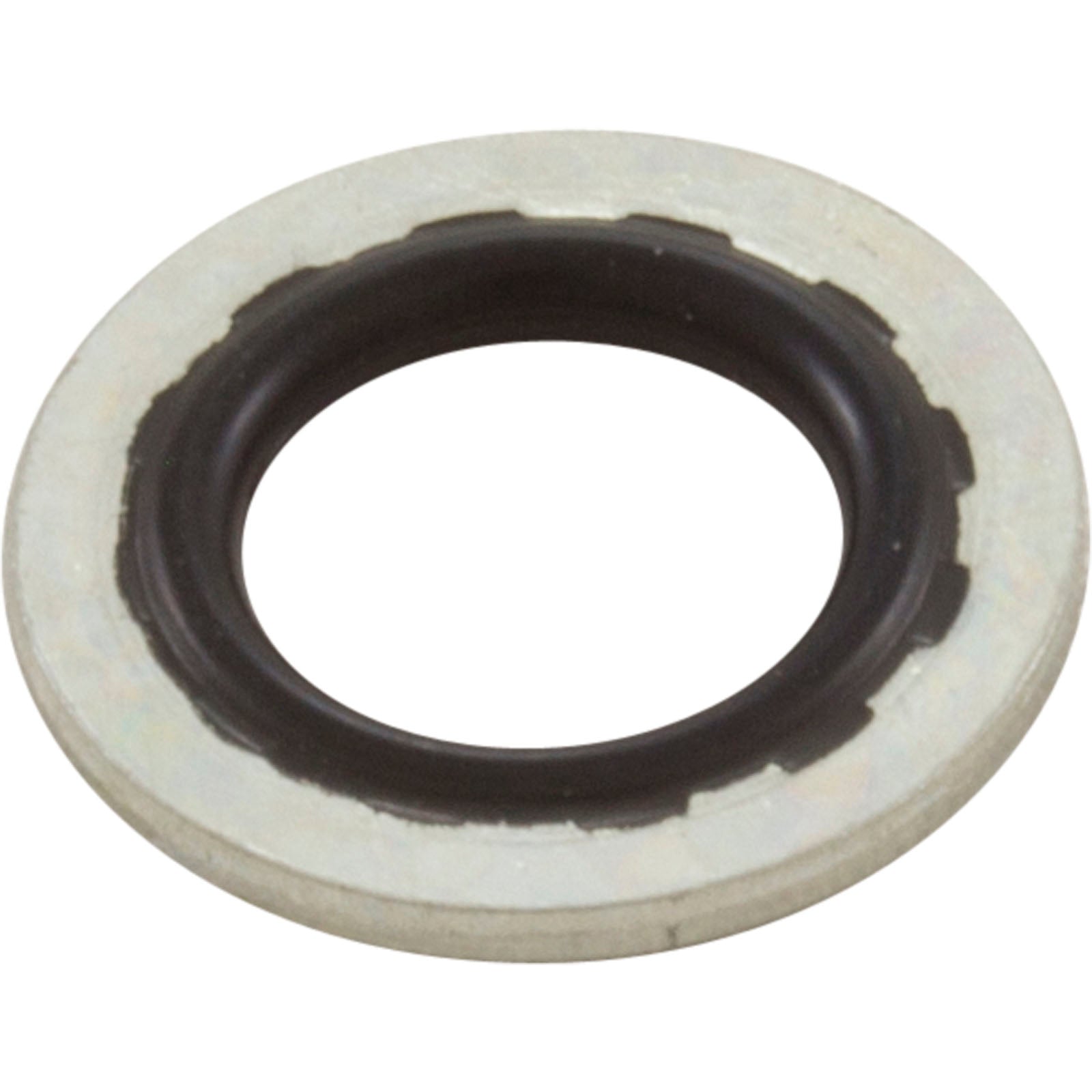 Pentair C43-46SS Stat-O-Seal Washer Replacement CSPH/CCSPH Series Pool and Spa Commercial Pump