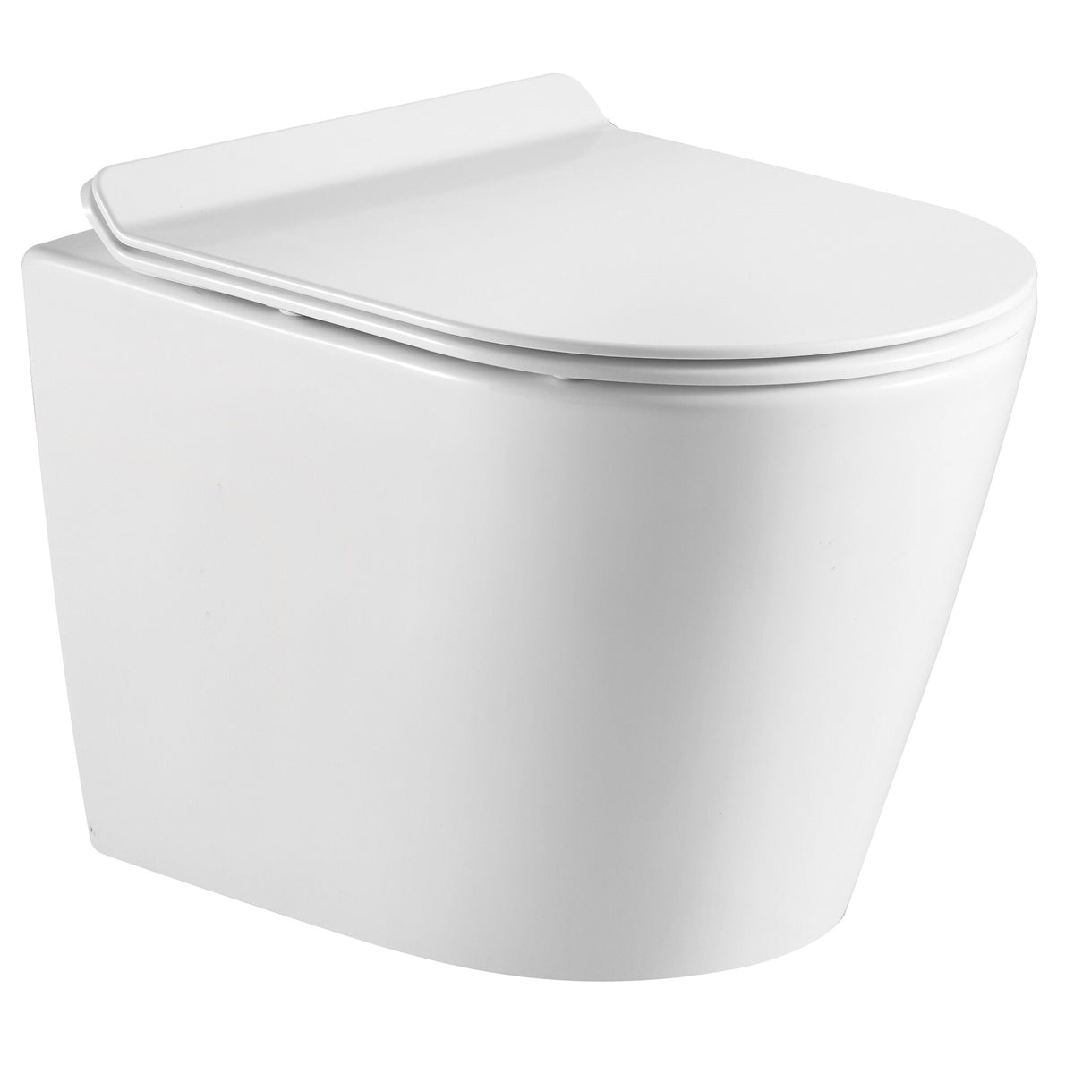 DAKOTA Dakota Plumbing Products DSW-WHE01W Wall-mounted Toilet