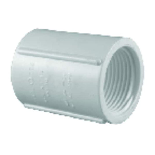 Charlotte Pipe PVC021020500 Plastic Pipe Coupling, PVC, 1/2 inch x 1/2 inch, Female NPT Thread x Female NPT Thread, Schedule 40