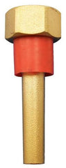 Jones Stephens J40510 Brass Well 3/4 NPT 2 1/2 Stem