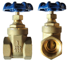 American Granby GV200-100T Brass Gate Valve 1