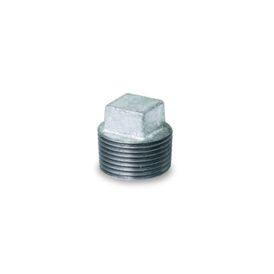 Everflow GMPL2000 | 2 Galvanized Plug | GMPL2000