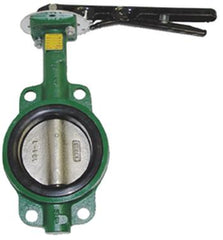 American Granby HBFV2 Butterfly Valve CI ENP Disc 2