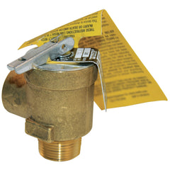 Hayward CHXRLV1930 Relief Valve | CHXRLV1930