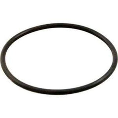 Hayward ECX1287 Hayward Gauge Adapter O-Ring | ECX1287