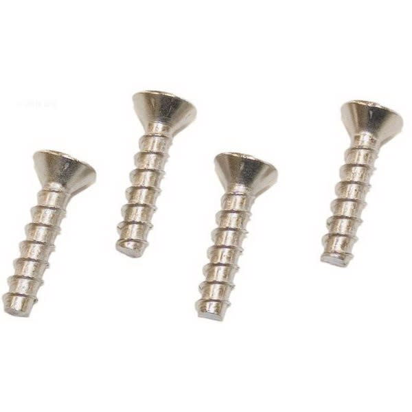 Hayward SPX1039Z1A Screw Set - Pack Of 4