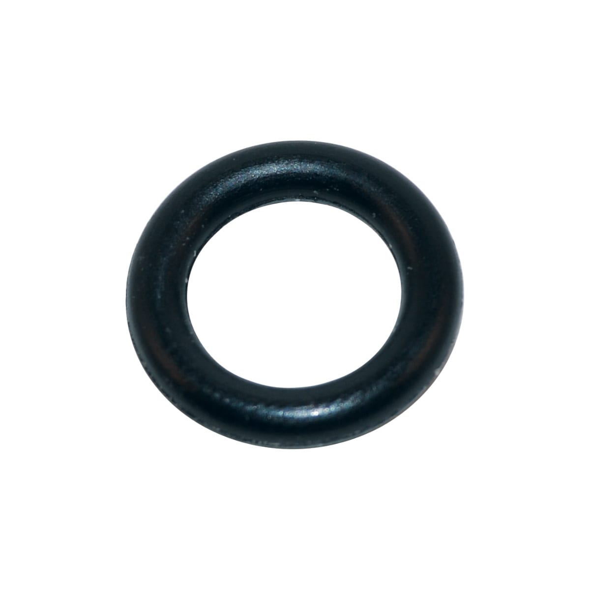 Hayward SPX1082Z410 Piston O-Ring 10-Pack