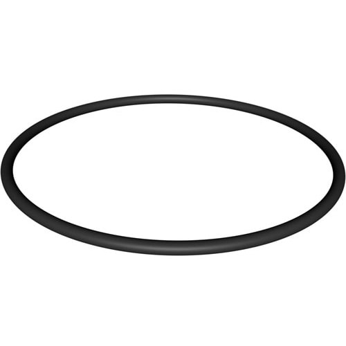 Hayward SPX4000S Northstar Strainer Cover O-ring