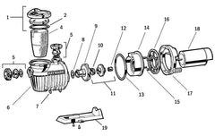 Hayward SPX4000Z1 O-Ring-Diffuser | Pump Parts