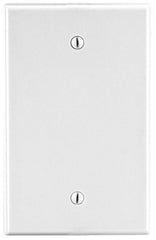 Hubbell P13W Wallplate 1-Gang Blank Box Mount - White