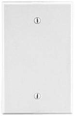 Hubbell P13W Wallplate 1-G Box Mt Blank White