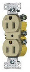 Hubbell Wiring Device-Kellems RR15SITR Duplex Receptacle 15 Amp 125 Volt NEMA 5-15R