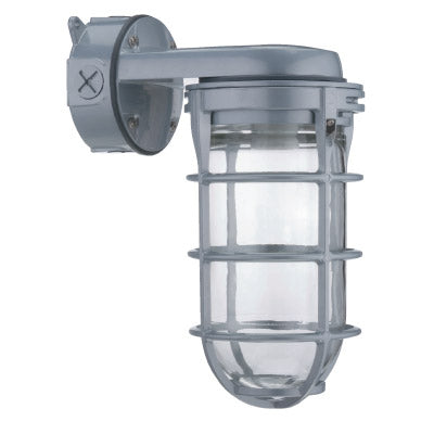 Acuity Brands VC150IM12 VC150I-M12 Lit Ceiling Mount 150W Max A19 Or A21 Incandescent Lamp Not Included