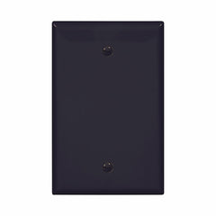 EATON PJ13BK Mid-Size Blank WallPlate, 1 Gang, Box Mounted, Polycarbonate, Black