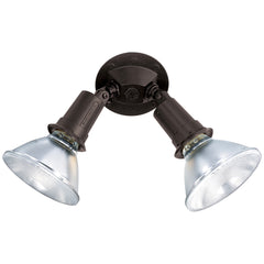 SATCO 76/523 2 Light - 10in - Flood Light Exterior - PAR38