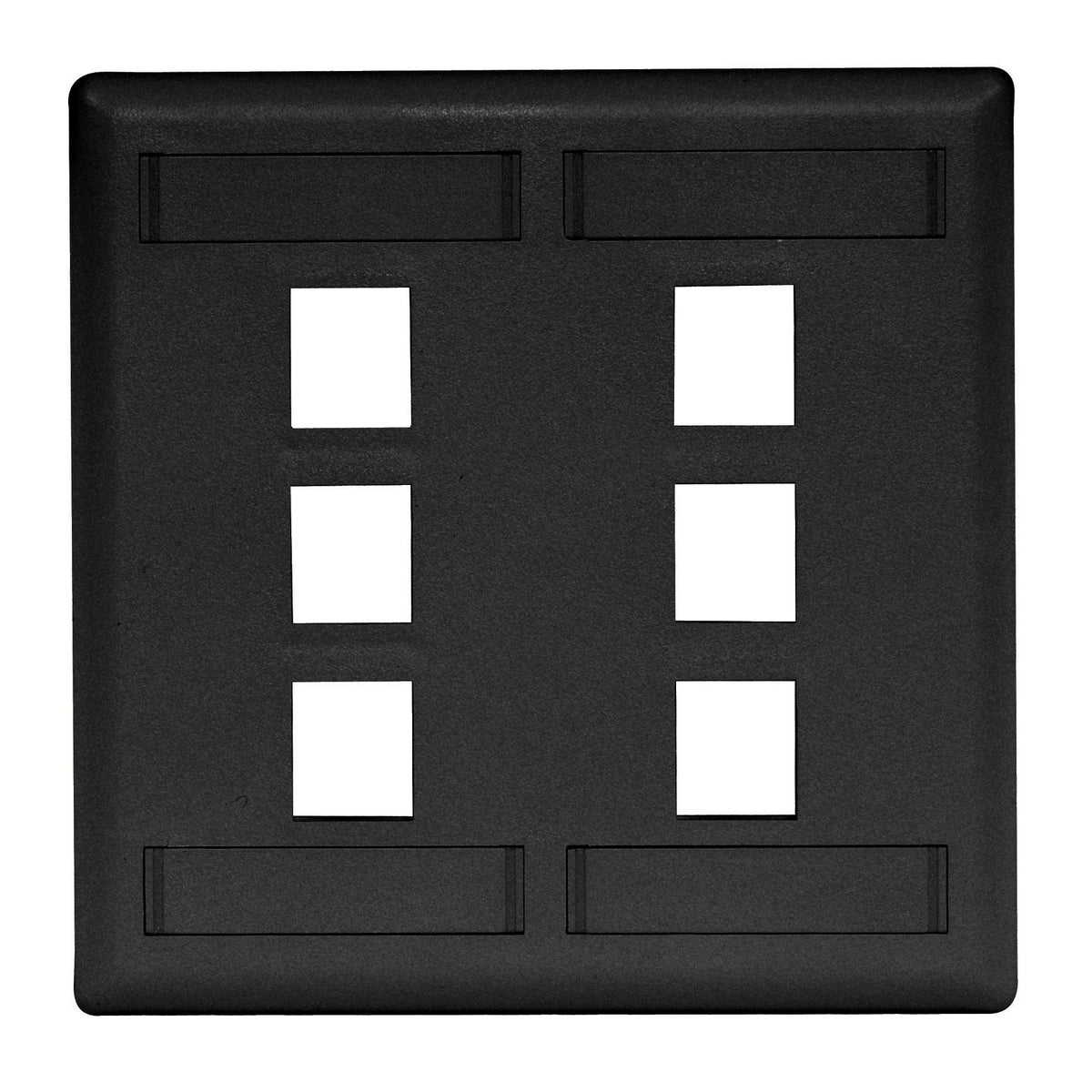 Hubbell IFP26BK Plate Wall Flush 2-G 6-Port Black