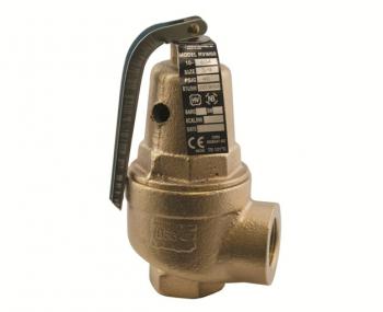 Conbraco 10-608-20 2 in. 100#H2O Relief Valve