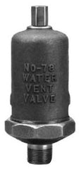 Bell & Gossett 401485 HOF78 Hoffman Water Vent Model 78 Vent Valve 3/4 x 1/8 in