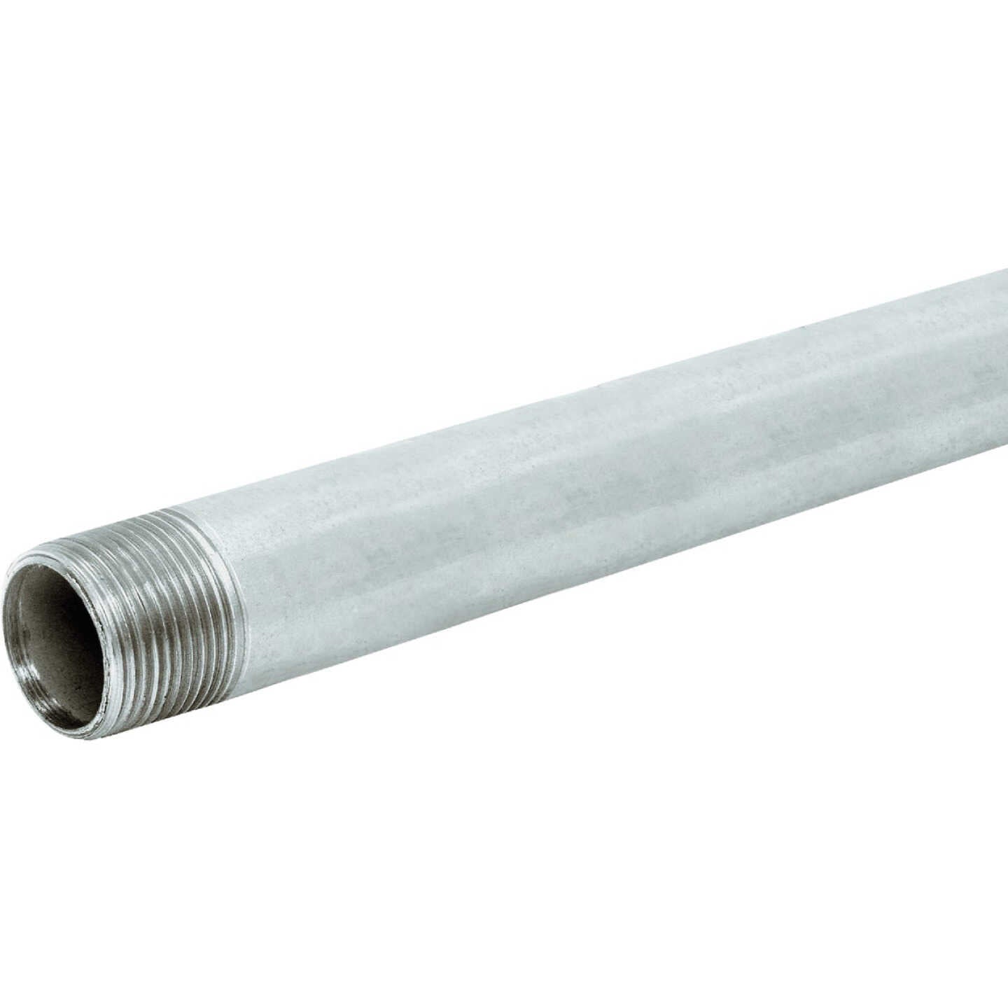SOUTHLAND Southland 563-1200FG 1/2 in x 10 ft carbon steel threaded galvanized pipe (1/2 in x 10 ft)