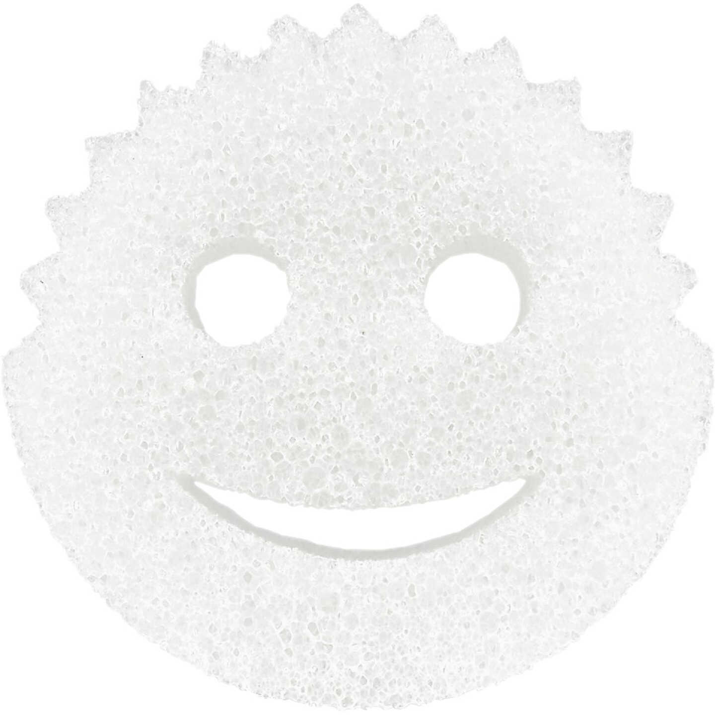 SCRUB DADDY Scrub Daddy FG0100901006PD0EN03 Eco Collection Dye-Free Scrubber (Each)
