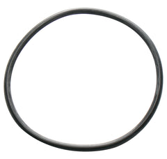 Jandy R0792000 Outlet Tube O-Ring