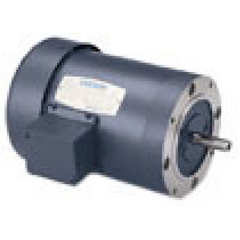 Leeson 110446.00 AC Three Phase ODP Motors