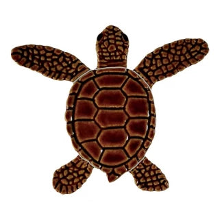 Loggerhead-baby-brown-center-324x324.webp