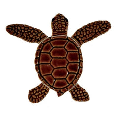 Loggerhead-baby-brown-center-324x324.webp