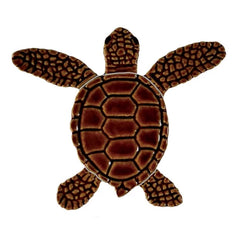 Loggerhead-baby-brown-center-565x565.webp