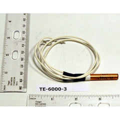 Johnson Controls TE-6000-3 Nickel Temperature Sensor Strap-On Application