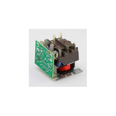 Laars R2073400 Time Delay Relay