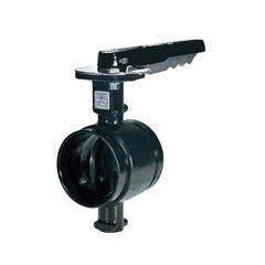 GRUVLOK 7005300004(AN7721-3)-CL BUTTERFLY VALVES