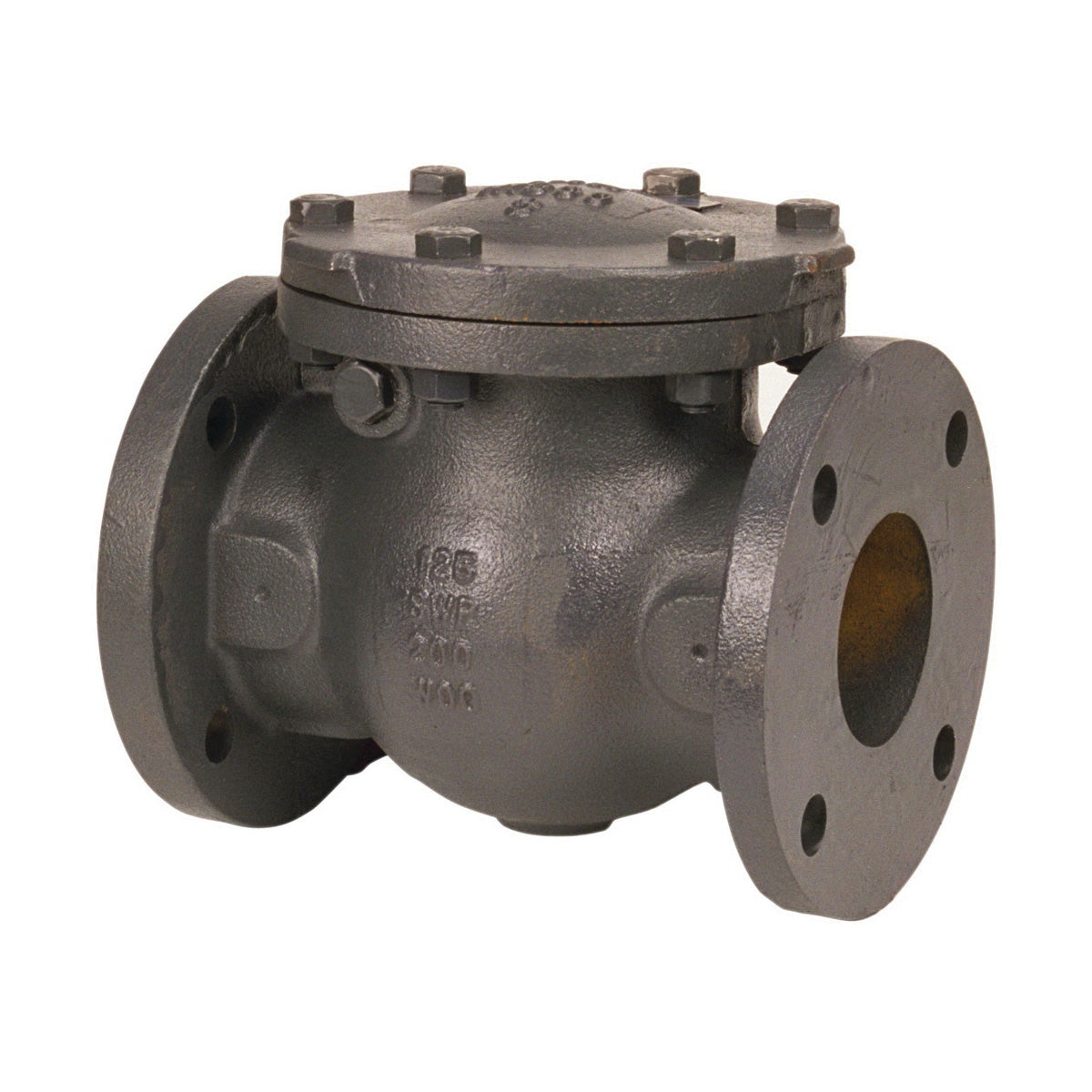 NIBCO NHE300K Swing Check Valve 6 in Nominal Flanged End Style 125 lb