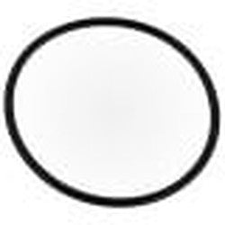 Pentair 192323 Teflon Coated O-Ring #2-139 | 192323