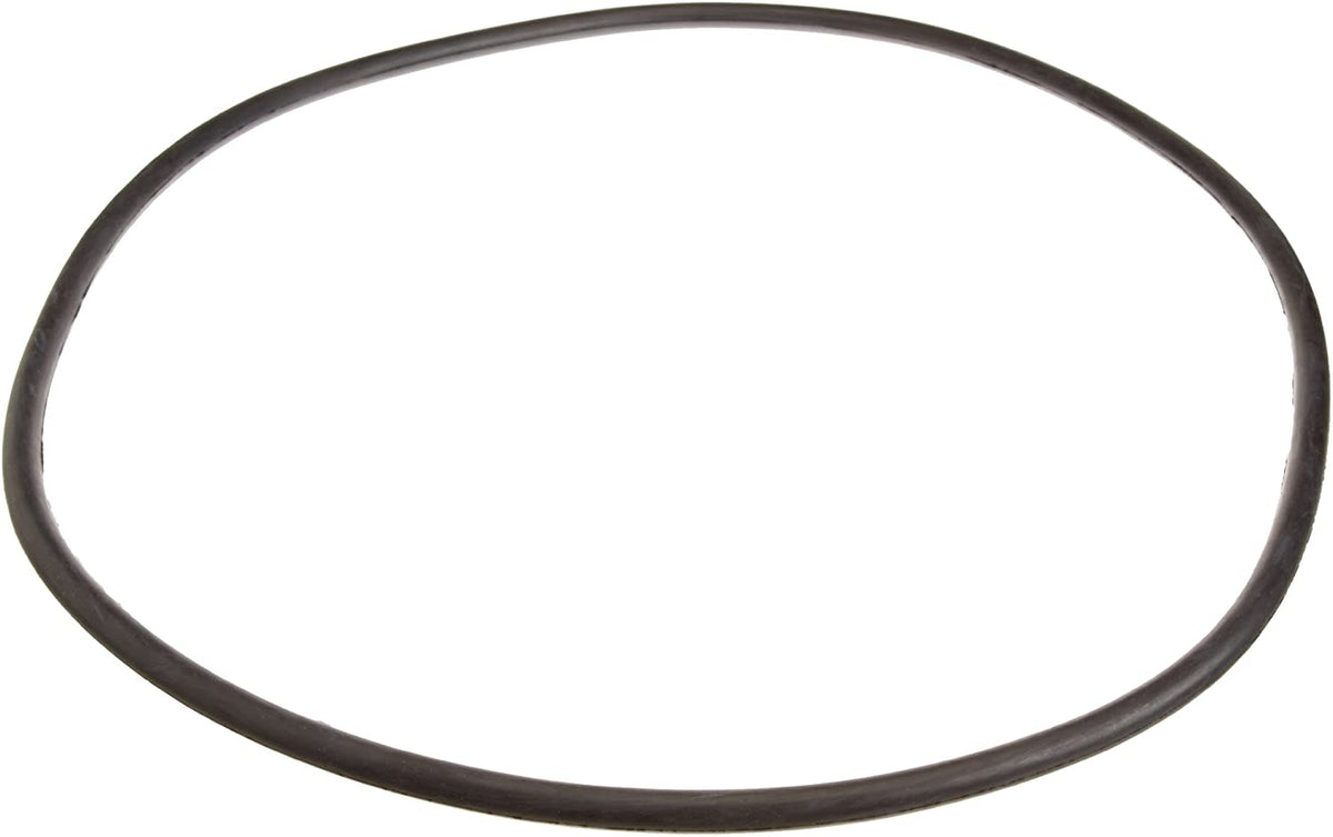 Pentair 24850-0009 Pentair 25 Tank Cord Ring