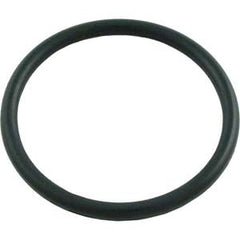 Pentair 35505-1424 O-Ring Adapter to Tank