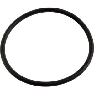 Pentair 355330 Challenger Strainer Pot Flange O-Ring