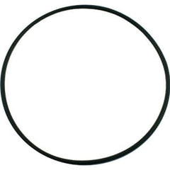 Pentair 355619Z Pinnacle/SuperFlo Seal Plate O-Ring