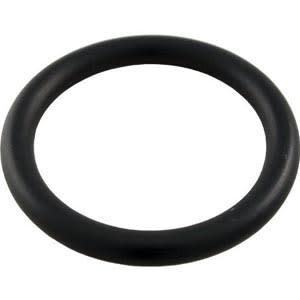 Pentair 51005000 Drain Plug O-Ring | 51005000