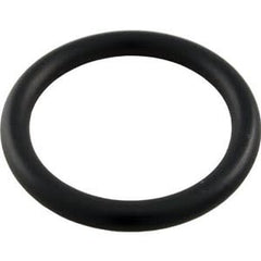 Pentair 51005000 Drain Plug O-Ring | 51005000