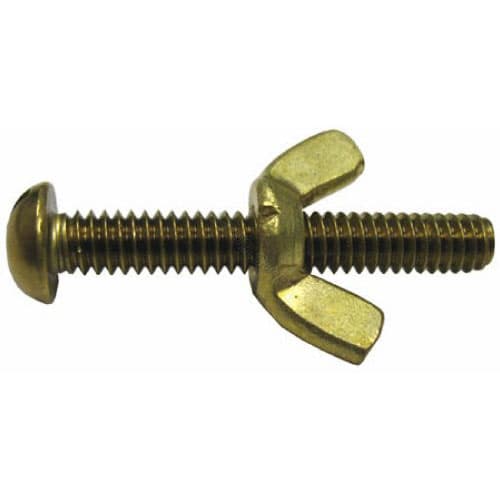 Pentair R221156 Brass Wing Bolt and Nut for Pool Maintenance