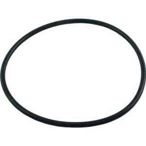 Pentair U9-369 Valve Flange O-Ring