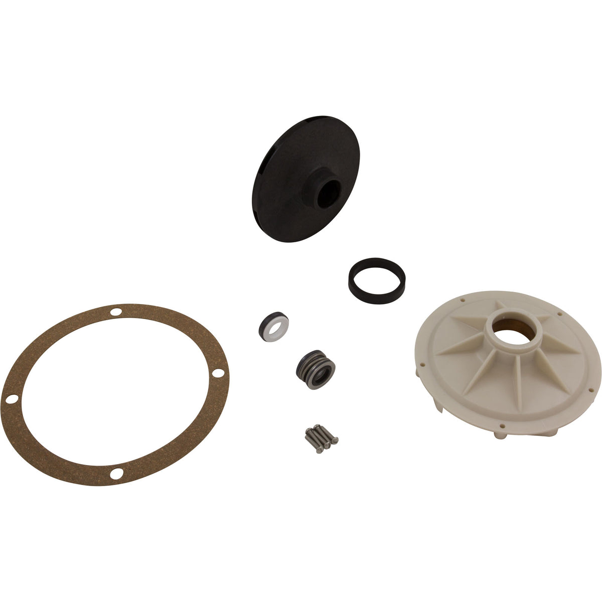 Pentair PP1566 Overhaul Replacement Kit Sta-Rite Pool and Spa Pump