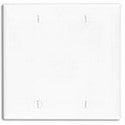 Leviton 80725-I 2-Gang No Device Blank Wallplate Box Mounted Ivory